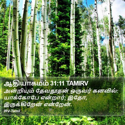 ஆதியாகமம் 31:11 TAMIRV Bible Verse Image