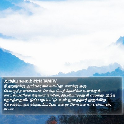 ஆதியாகமம் 31:13 TAMIRV Bible Verse Image