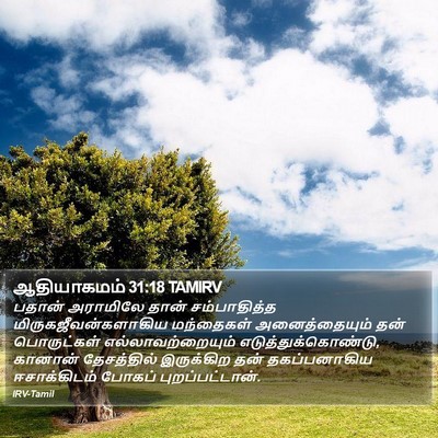 ஆதியாகமம் 31:18 TAMIRV Bible Verse Image