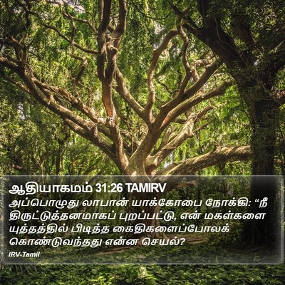 ஆதியாகமம் 31:26 TAMIRV Bible Verse Image