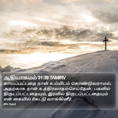 ஆதியாகமம் 31:39 TAMIRV Bible Verse Image