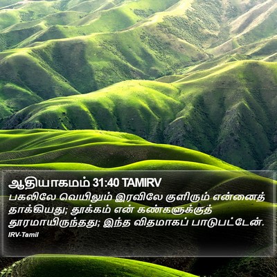 ஆதியாகமம் 31:40 TAMIRV Bible Verse Image