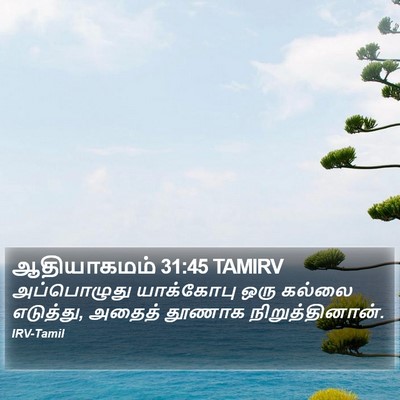 ஆதியாகமம் 31:45 TAMIRV Bible Verse Image