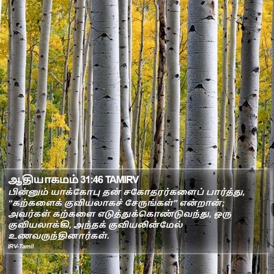 ஆதியாகமம் 31:46 TAMIRV Bible Verse Image