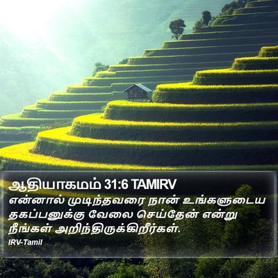 ஆதியாகமம் 31:6 TAMIRV Bible Verse Image