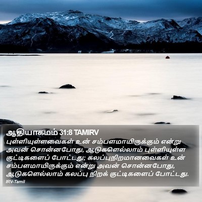 ஆதியாகமம் 31:8 TAMIRV Bible Verse Image