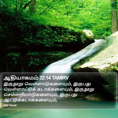 ஆதியாகமம் 32:14 TAMIRV Bible Verse Image