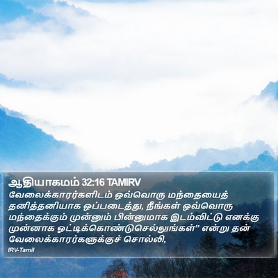 ஆதியாகமம் 32:16 TAMIRV Bible Verse Image