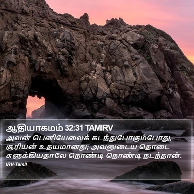 ஆதியாகமம் 32:31 TAMIRV Bible Verse Image
