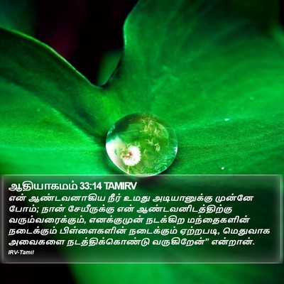 ஆதியாகமம் 33:14 TAMIRV Bible Verse Image