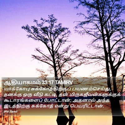 ஆதியாகமம் 33:17 TAMIRV Bible Verse Image