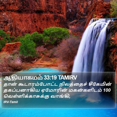 ஆதியாகமம் 33:19 TAMIRV Bible Verse Image
