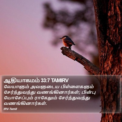ஆதியாகமம் 33:7 TAMIRV Bible Verse Image