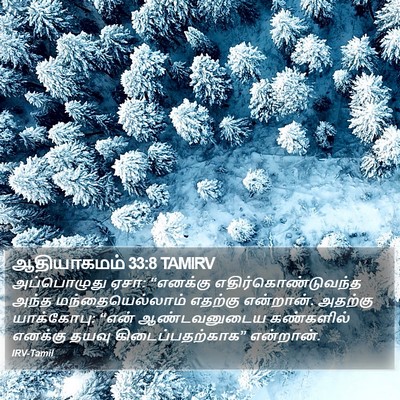 ஆதியாகமம் 33:8 TAMIRV Bible Verse Image