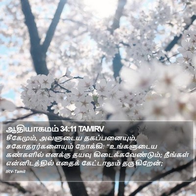 ஆதியாகமம் 34:11 TAMIRV Bible Verse Image