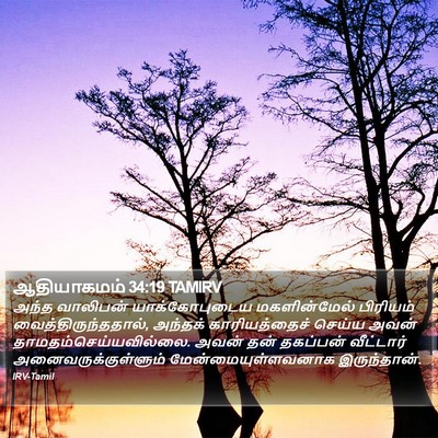 ஆதியாகமம் 34:19 TAMIRV Bible Verse Image