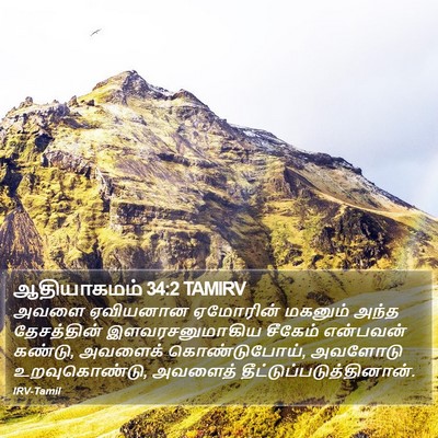 ஆதியாகமம் 34:2 TAMIRV Bible Verse Image