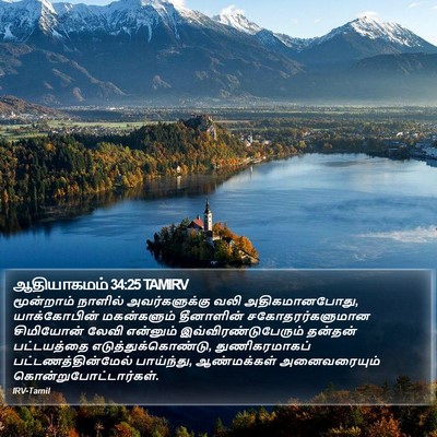 ஆதியாகமம் 34:25 TAMIRV Bible Verse Image