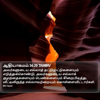 ஆதியாகமம் 34:29 TAMIRV Bible Verse Image