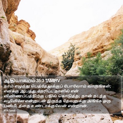 ஆதியாகமம் 35:3 TAMIRV Bible Verse Image
