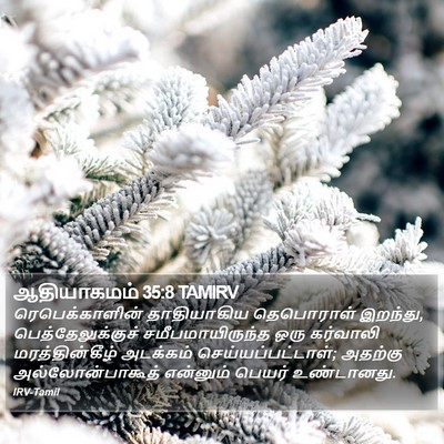 ஆதியாகமம் 35:8 TAMIRV Bible Verse Image