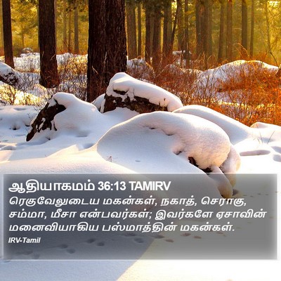 ஆதியாகமம் 36:13 TAMIRV Bible Verse Image
