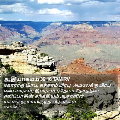 ஆதியாகமம் 36:16 TAMIRV Bible Verse Image