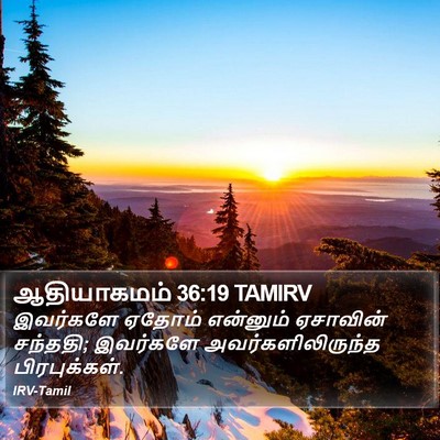 ஆதியாகமம் 36:19 TAMIRV Bible Verse Image