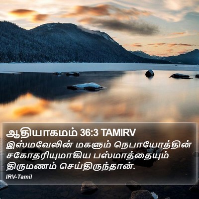 ஆதியாகமம் 36:3 TAMIRV Bible Verse Image
