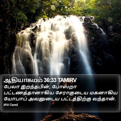 ஆதியாகமம் 36:33 TAMIRV Bible Verse Image