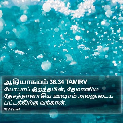 ஆதியாகமம் 36:34 TAMIRV Bible Verse Image