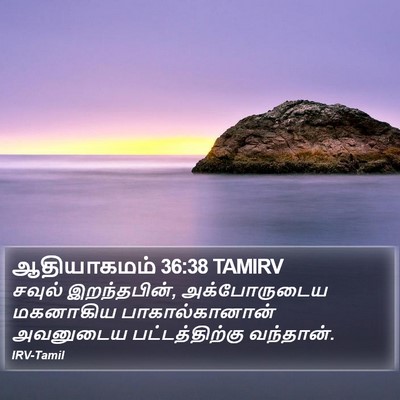 ஆதியாகமம் 36:38 TAMIRV Bible Verse Image