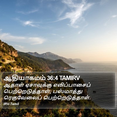 ஆதியாகமம் 36:4 TAMIRV Bible Verse Image