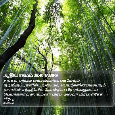 ஆதியாகமம் 36:40 TAMIRV Bible Verse Image