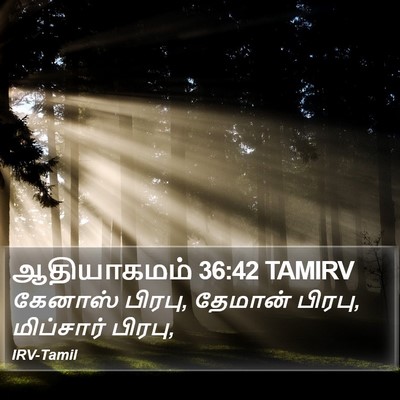 ஆதியாகமம் 36:42 TAMIRV Bible Verse Image