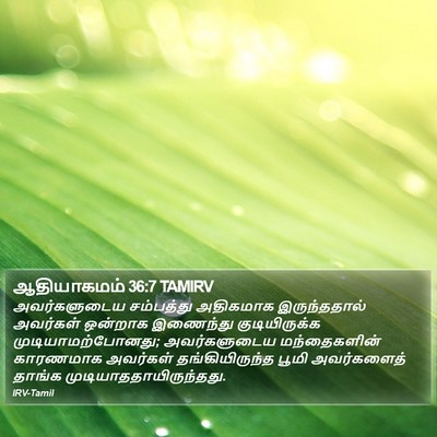 ஆதியாகமம் 36:7 TAMIRV Bible Verse Image