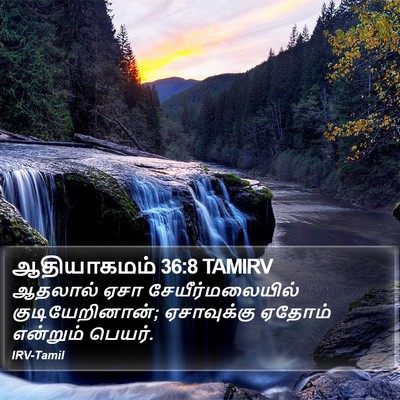 ஆதியாகமம் 36:8 TAMIRV Bible Verse Image