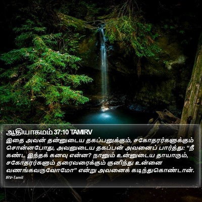 ஆதியாகமம் 37:10 TAMIRV Bible Verse Image