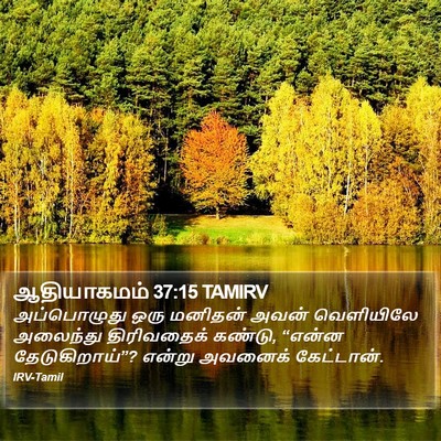 ஆதியாகமம் 37:15 TAMIRV Bible Verse Image