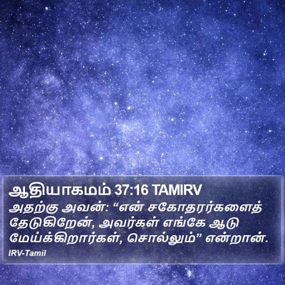 ஆதியாகமம் 37:16 TAMIRV Bible Verse Image