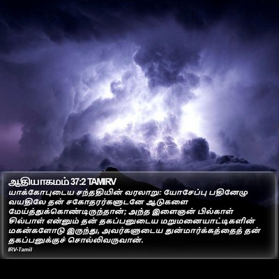 ஆதியாகமம் 37:2 TAMIRV Bible Verse Image