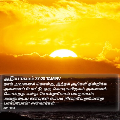 ஆதியாகமம் 37:20 TAMIRV Bible Verse Image