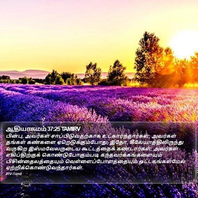 ஆதியாகமம் 37:25 TAMIRV Bible Verse Image