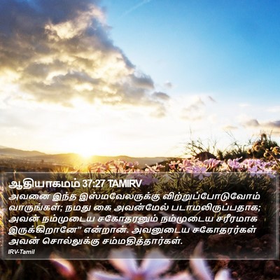 ஆதியாகமம் 37:27 TAMIRV Bible Verse Image