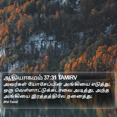 ஆதியாகமம் 37:31 TAMIRV Bible Verse Image