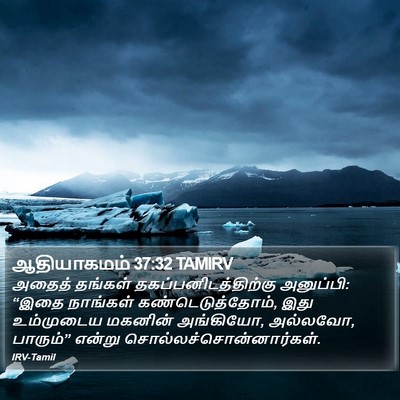 ஆதியாகமம் 37:32 TAMIRV Bible Verse Image
