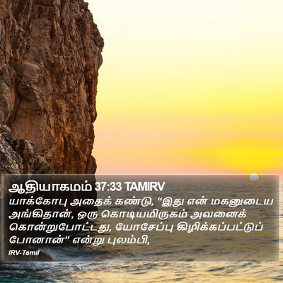 ஆதியாகமம் 37:33 TAMIRV Bible Verse Image