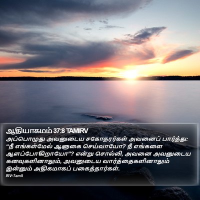 ஆதியாகமம் 37:8 TAMIRV Bible Verse Image