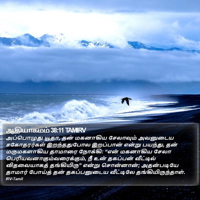 ஆதியாகமம் 38:11 TAMIRV Bible Verse Image