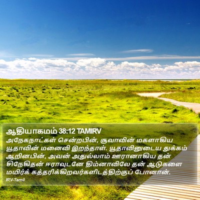 ஆதியாகமம் 38:12 TAMIRV Bible Verse Image